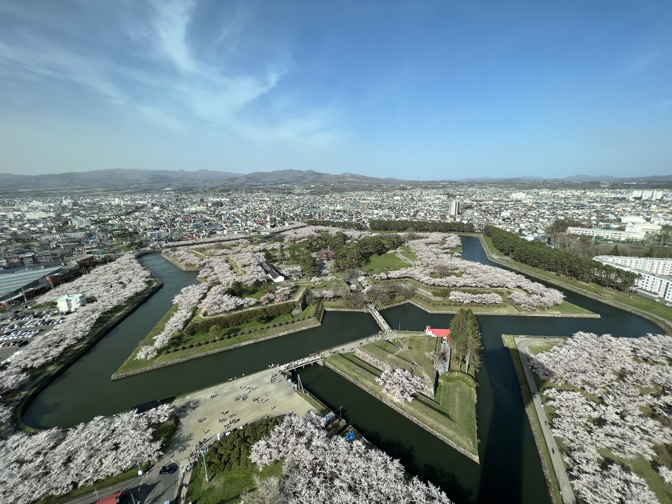 桜満開🌸
