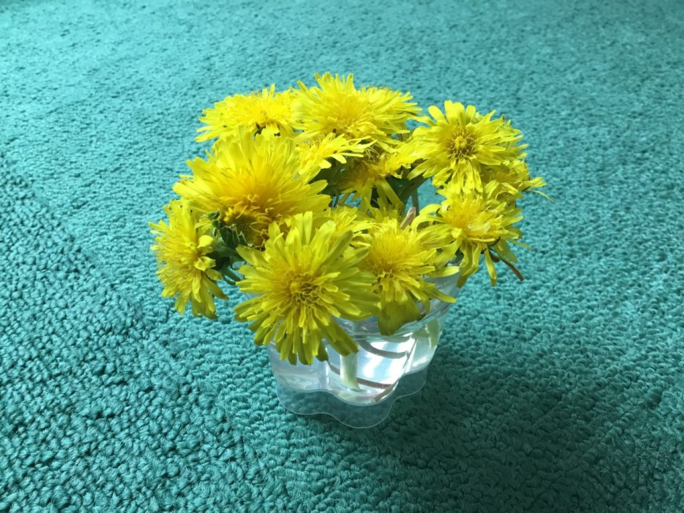 思いがけないプレゼント🎁