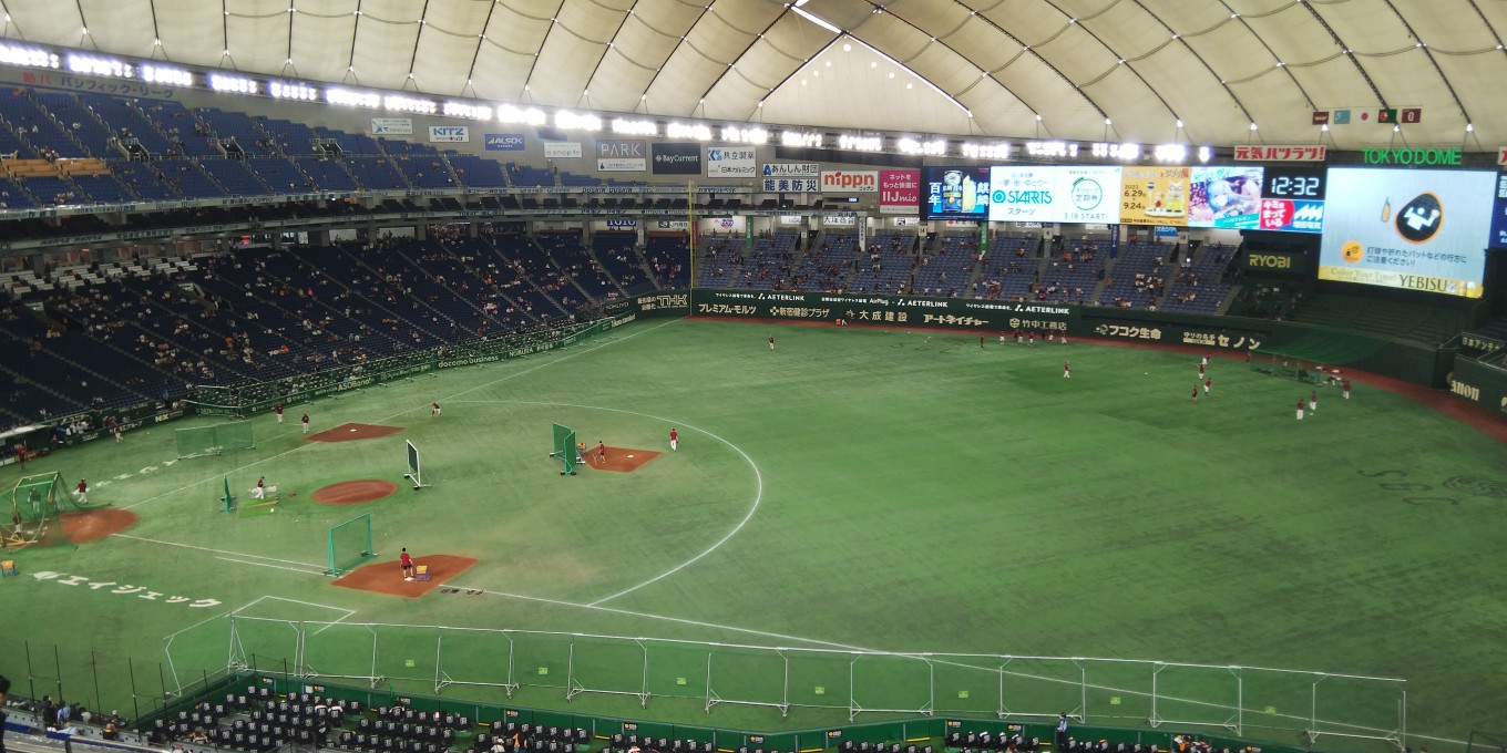 ひとりで野球観戦🏏