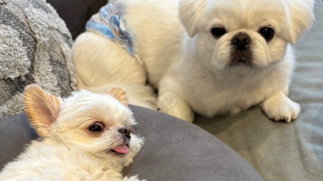 🏠充実の私生活🐶