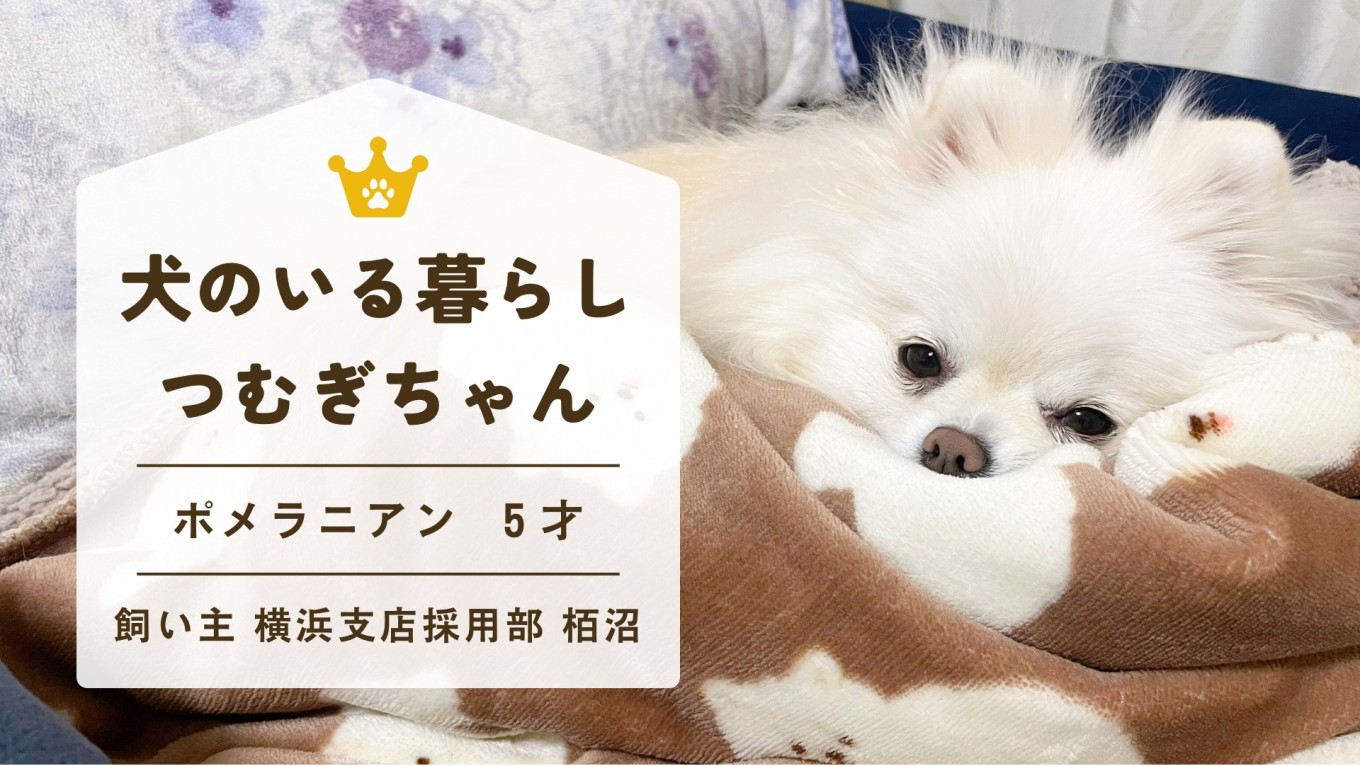 うちのこ自慢🐶つむぎマイラブ💖
