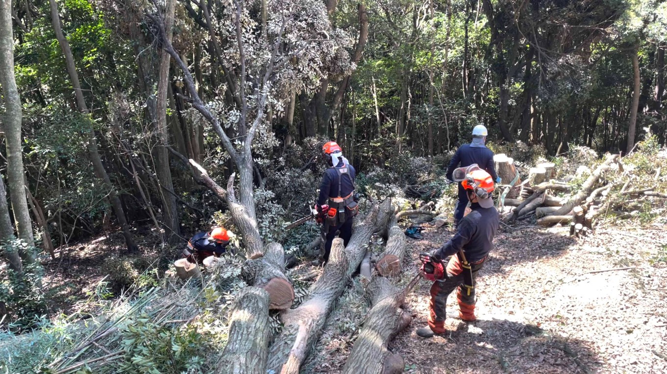 木こりのお仕事🌲
