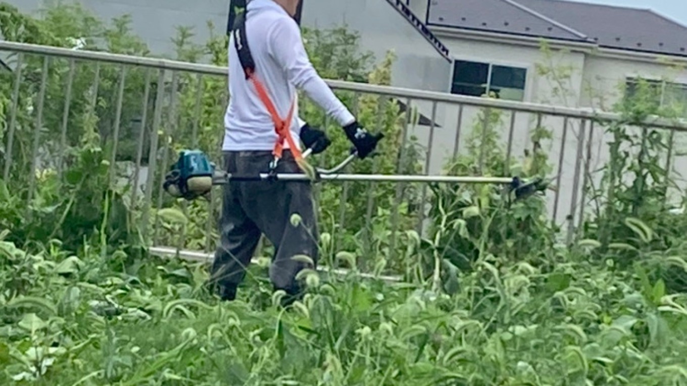 ☆草刈り★