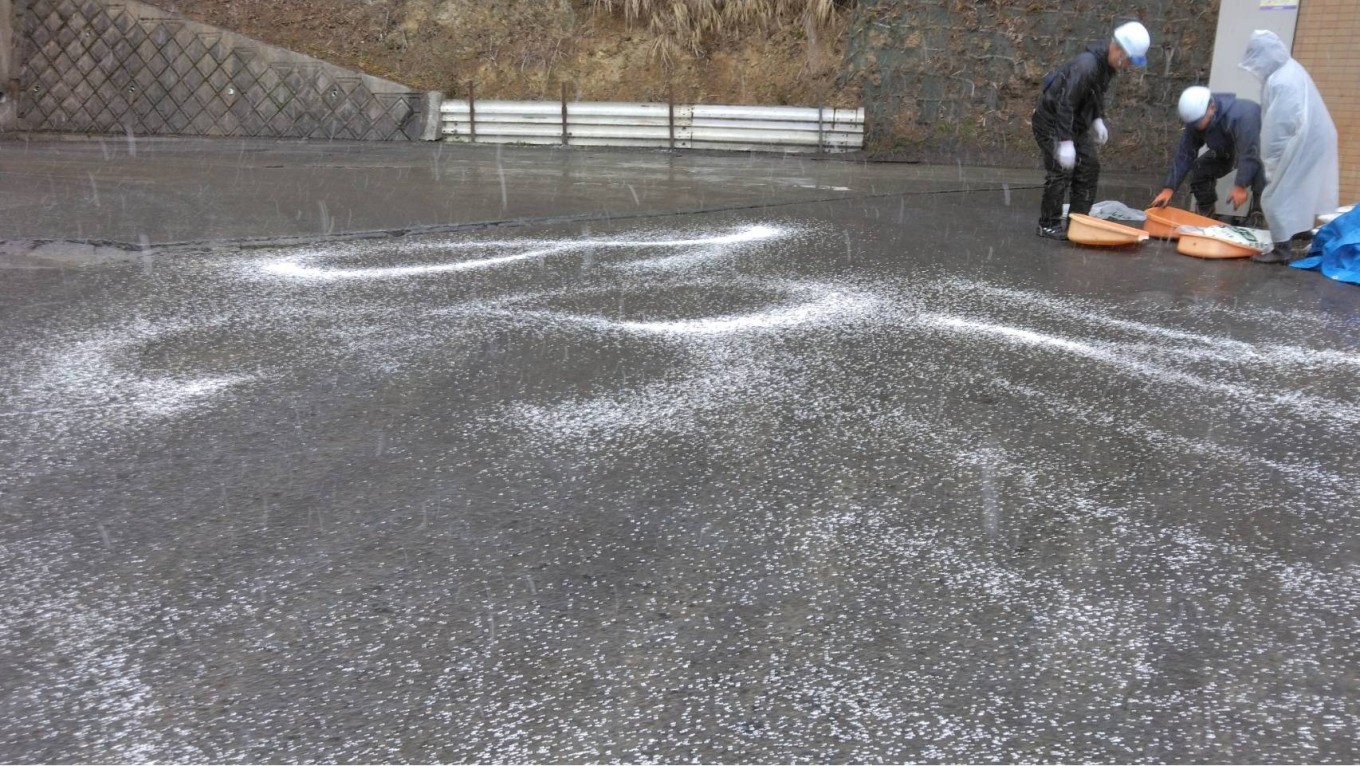 冬の安全対策⛄