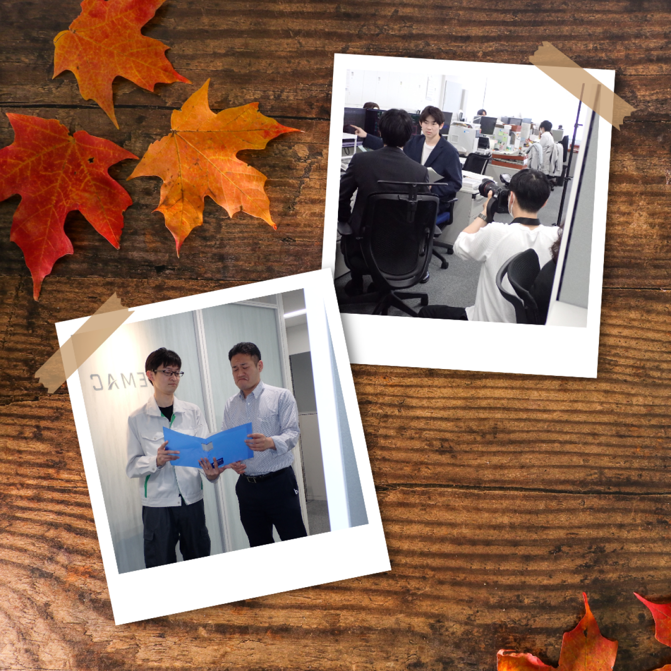 茶色の秋の写真のコラージュ.png