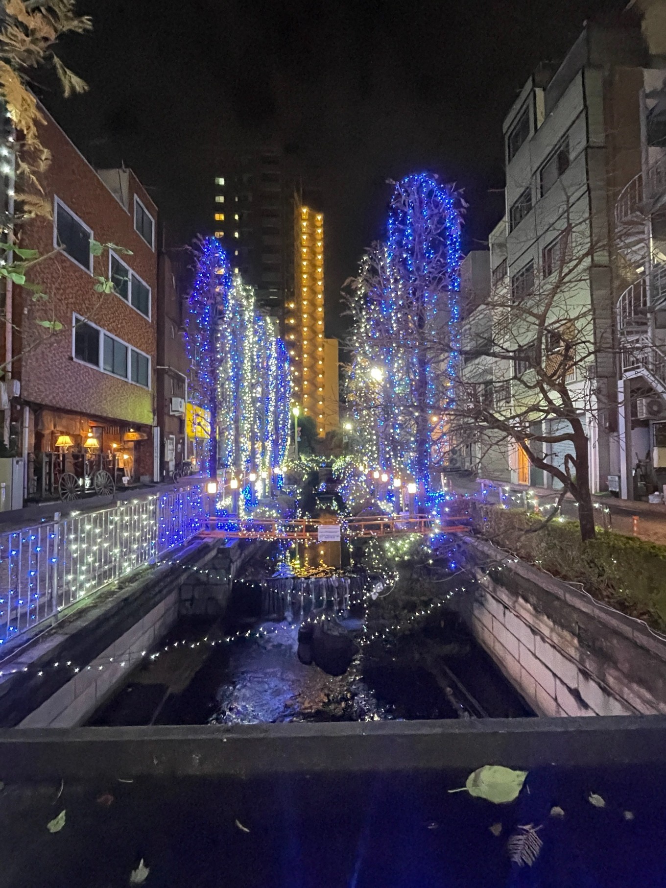IMG_9884.JPG