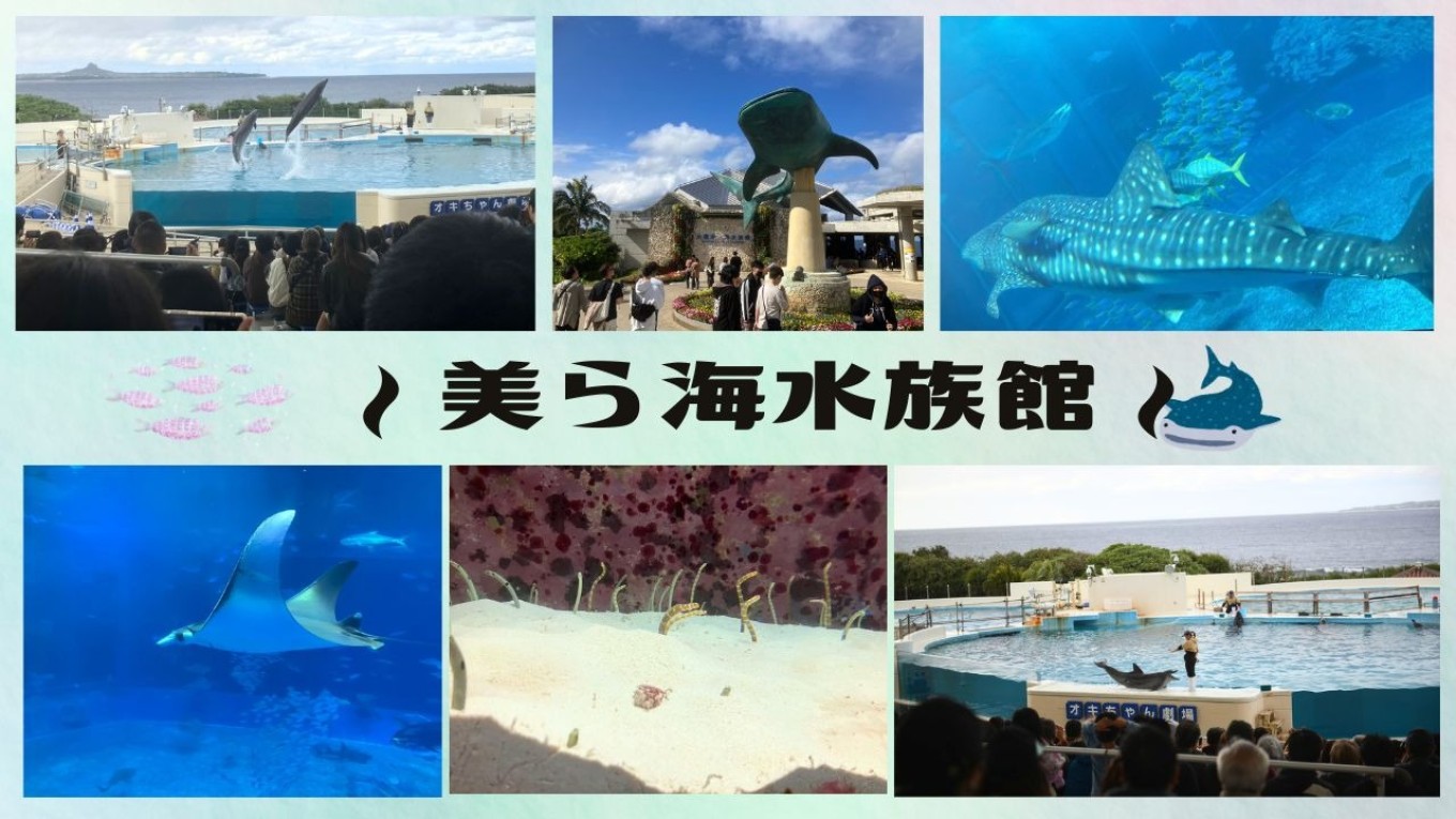 美ら海水族館.jpg